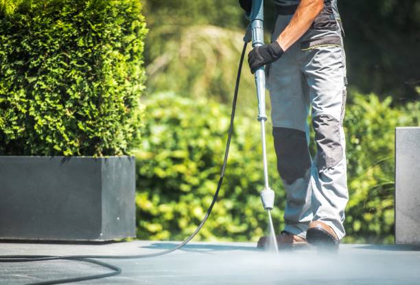 Best Fence Cleaning  in Geneva, OH