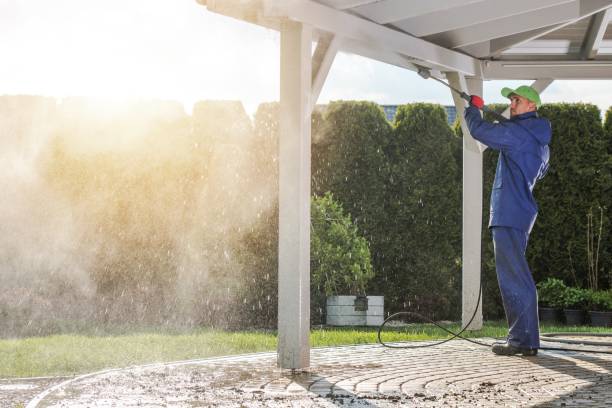 Best Spring Cleaning  in Geneva, OH